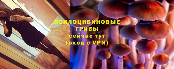 ГАЛЛЮЦИНОГЕННЫЕ ГРИБЫ Кукмор