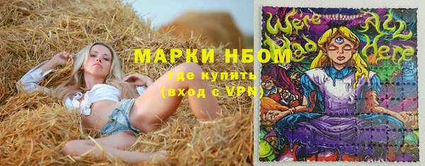 ГАЛЛЮЦИНОГЕННЫЕ ГРИБЫ Кукмор