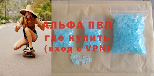 ГАЛЛЮЦИНОГЕННЫЕ ГРИБЫ Кукмор