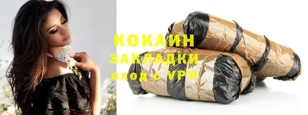 соль ск Кулебаки