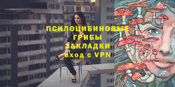 соль ск Кулебаки