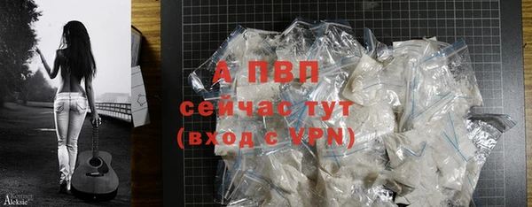 ГАЛЛЮЦИНОГЕННЫЕ ГРИБЫ Кукмор