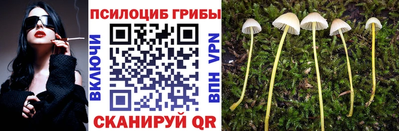 Купить  Оханск  Галлюциногенные грибы MAGIC MUSHROOMS 